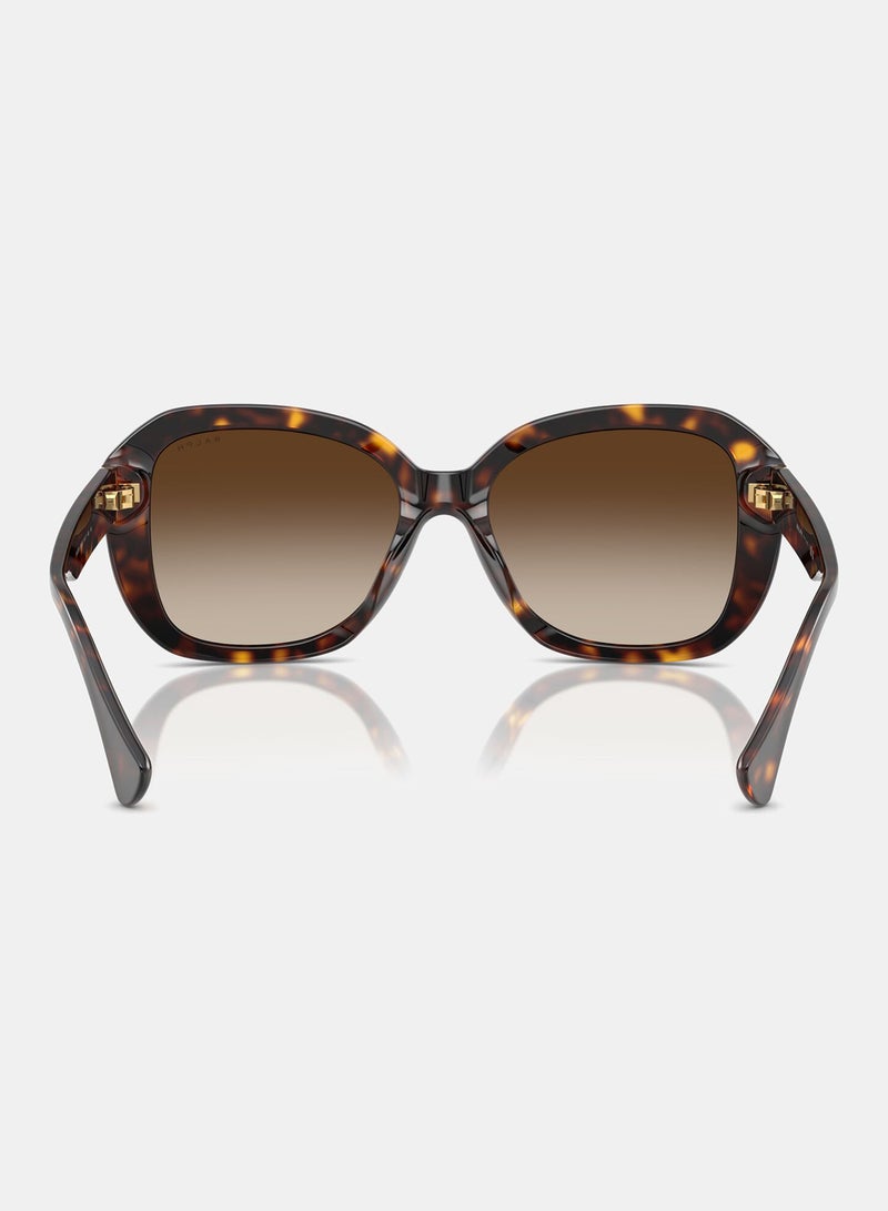 RALPH LAUREN Full Rim Butterfly Sunglasses 0RA5321U 56 500313 - Image 3